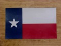 TX07005 Texas Flag Magnet