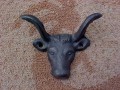 Steer Hook CI21R