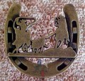 CP00280AB - Team Roper Cabinet Knob