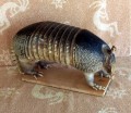 TX00041 - Texas Armadillo
