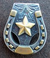 CON00959 - Horseshoe Star Concho