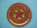 Rustic Texas State Seal TS50U