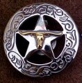 CON00951F - Longhorn On Star With engraved Border
