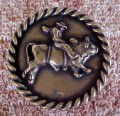 CP00230AB - Bullrider Cabinet Knob