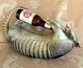 TX00040 - Texas Armadillo