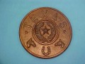 Rustic Texas Wall Plaque TS51U