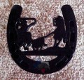 CP00280BLK - Team Roper Cabinet Knob